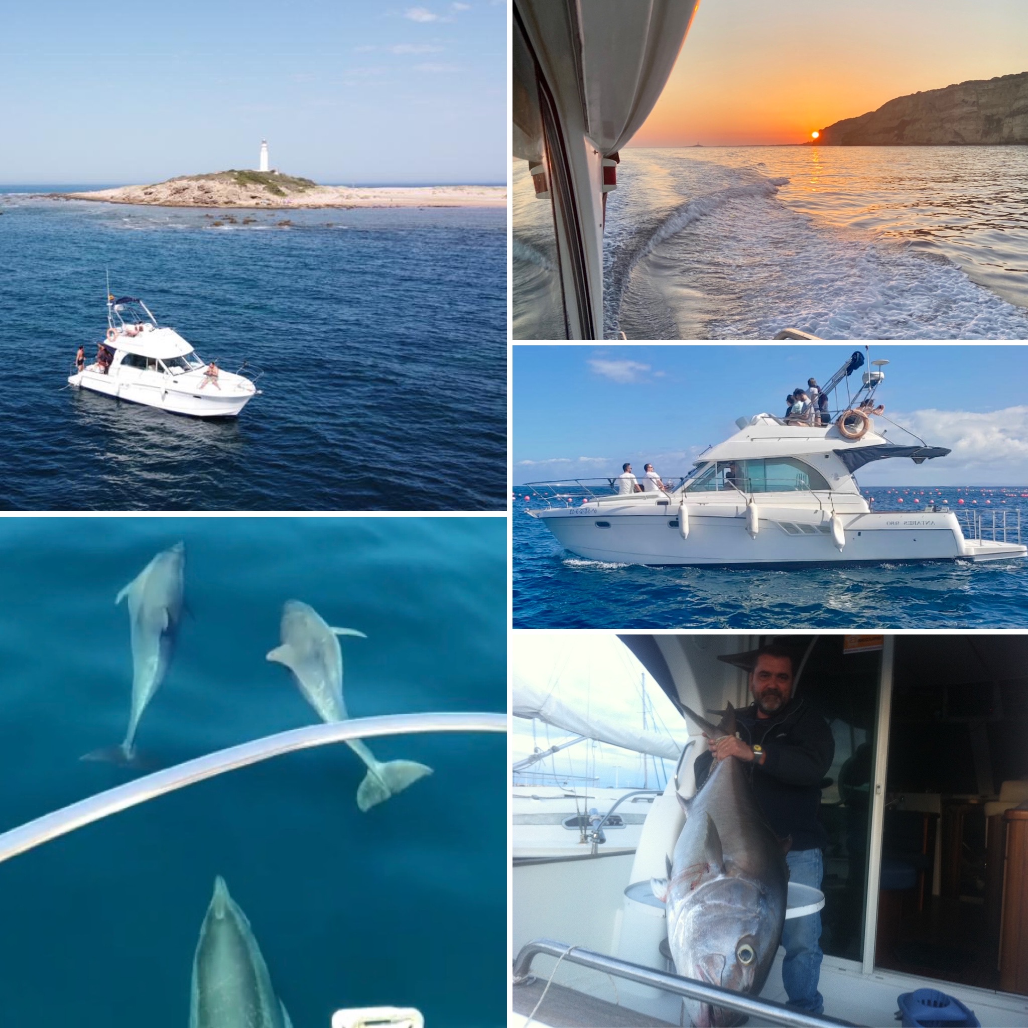 5DFAD246-81AD-4A84-BB02-5FD32F70DEF3